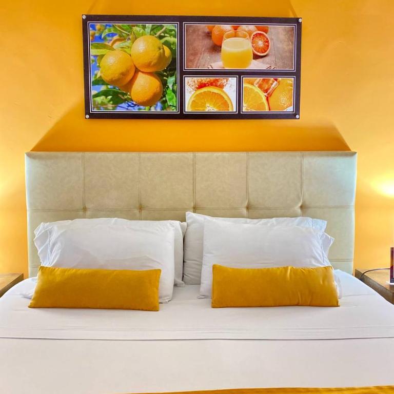 Hotel Aromax del Campestre - Habitación Doble Superior - 1 cama extragrande o 2 individuales - 3