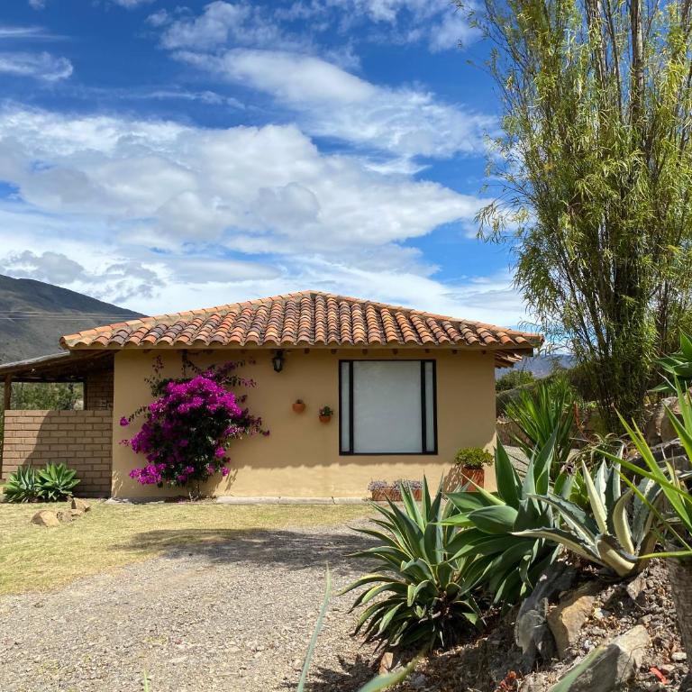 Casa Villa del Pino - Villa de Leyva - Casa de 2 dormitorios - 25