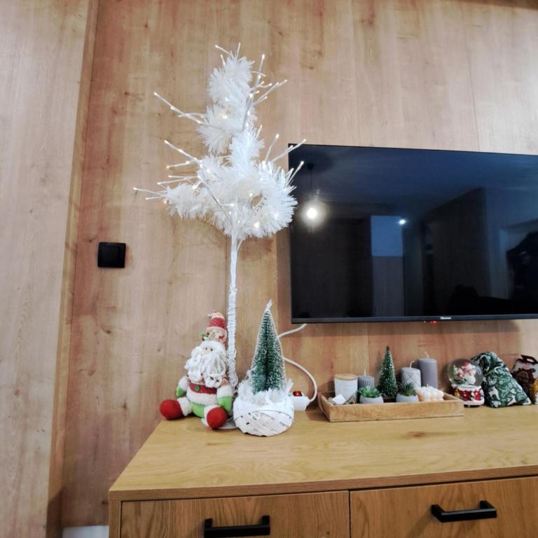 Apartman Lenka Villa Mont Jahorina - One-Bedroom Apartment - 6