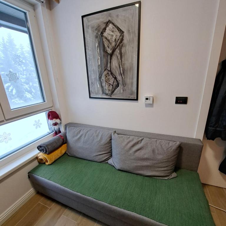 Apartman Lenka Villa Mont Jahorina - One-Bedroom Apartment - 4