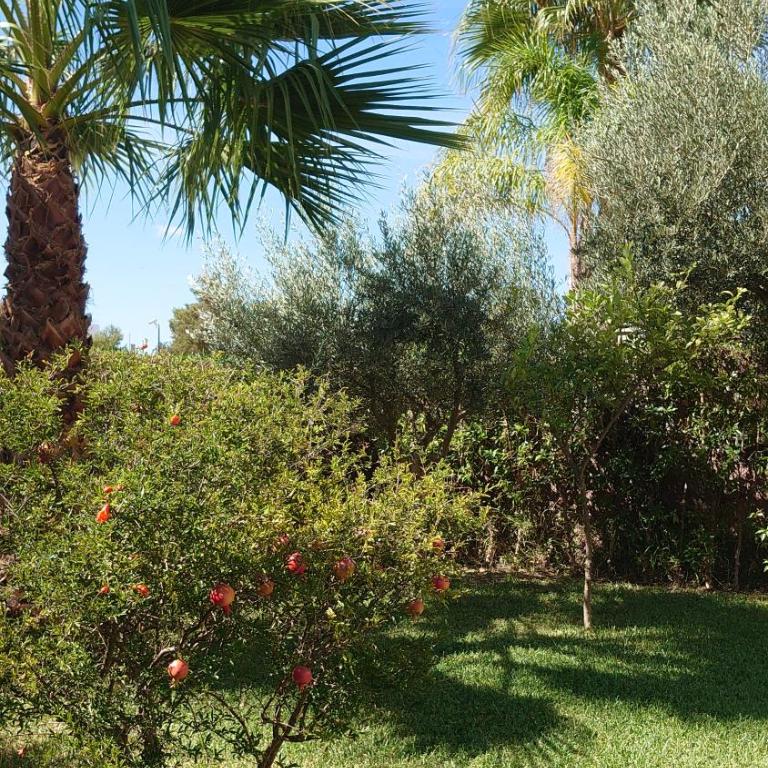 Villa Alandalus - Villa Deluxe - 41