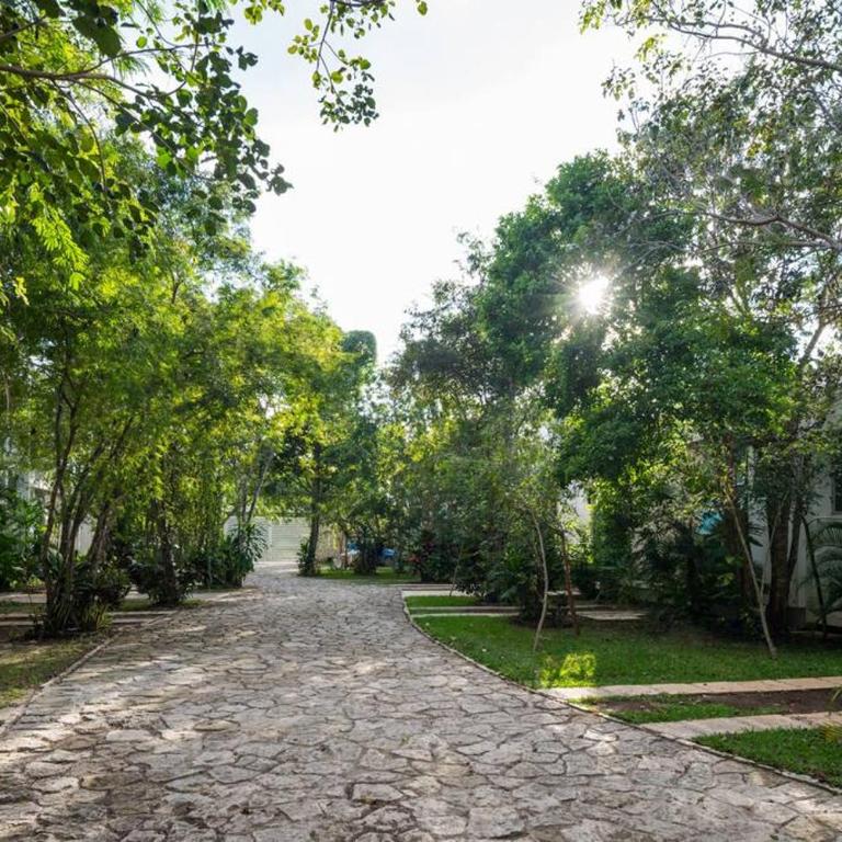 Relaxing Loft with private pool and amazing views in the heart of tulum - Apartamento de 1 dormitorio - 13
