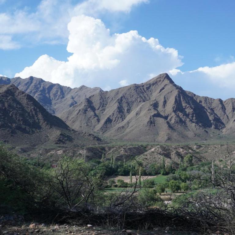 Hospedaje Finca la Encantada - Casa con 1 dormitorio - 38