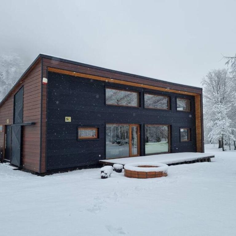Refugio La Paloma, Corralco - Chalet de 3 dormitorios - 1