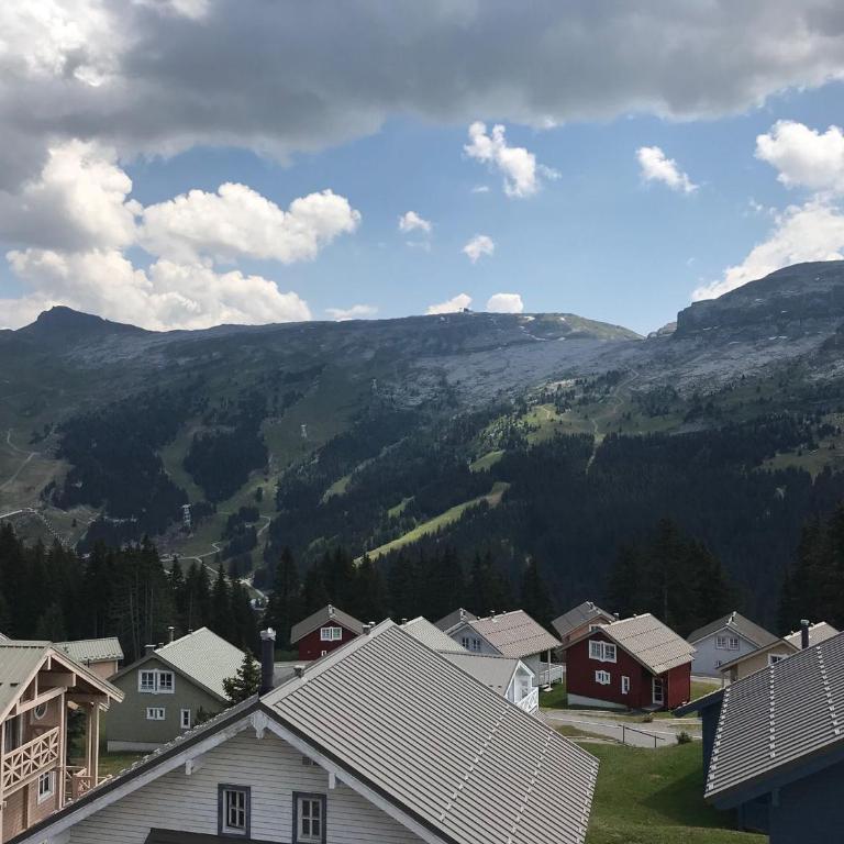Appartement confortable 2 chambres, balcon sud, 6 pers. - FR-1-425-213 - Appartement - 12