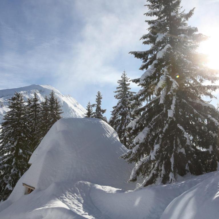 Chalet d'exception 7 pièces pour 12 pers. à Avoriaz - Chalet 3 Chambres - 2