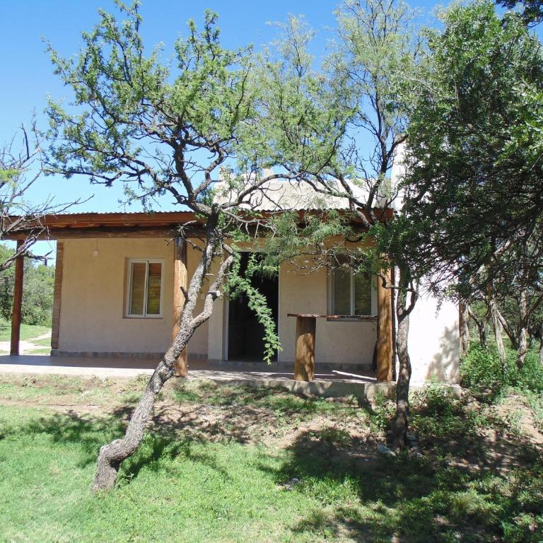 Cabaña Los Piquillines - Casa con 1 dormitorio - 10