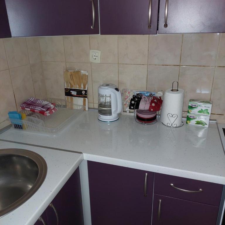 Apartman DIS - Apartman sa 2 Spavaće Sobe - 12
