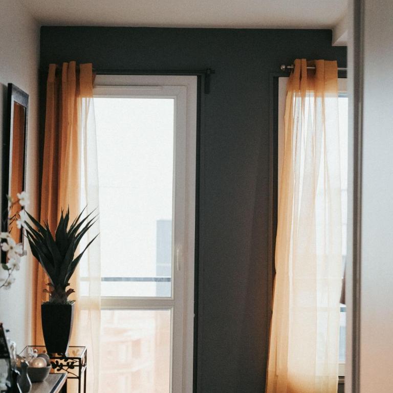 Le COCON de Jaude F2 HyperCentre avec ascenseur 52Bonnabaud - Appartement 1 Chambre - 29