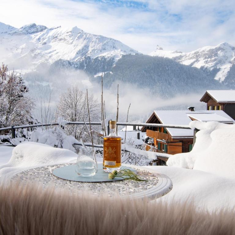 Chalet Lobhornblick - Superior Apartment - 4