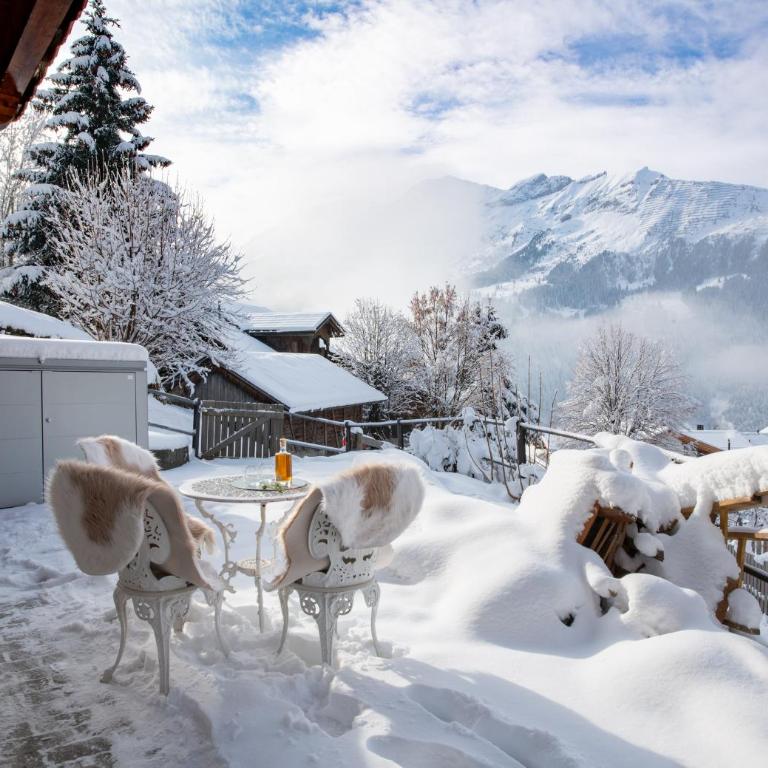 Chalet Lobhornblick - Superior Apartment - 25