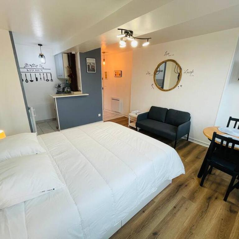 Studio Chez Sissi - hypercentre - - Appartement 1 Chambre - 6
