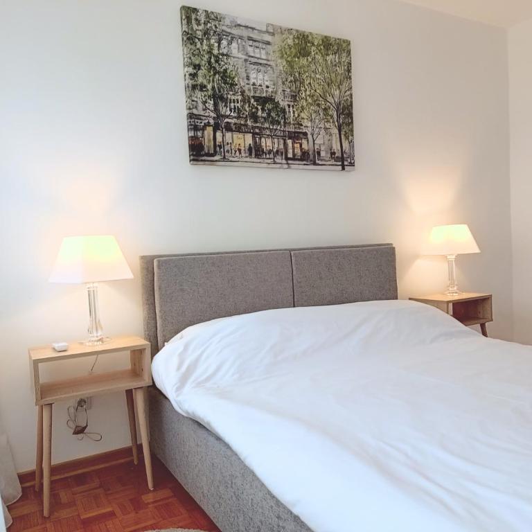 Novobeogradska priča - Apartman sa 1 Spavaćom Sobom - 10