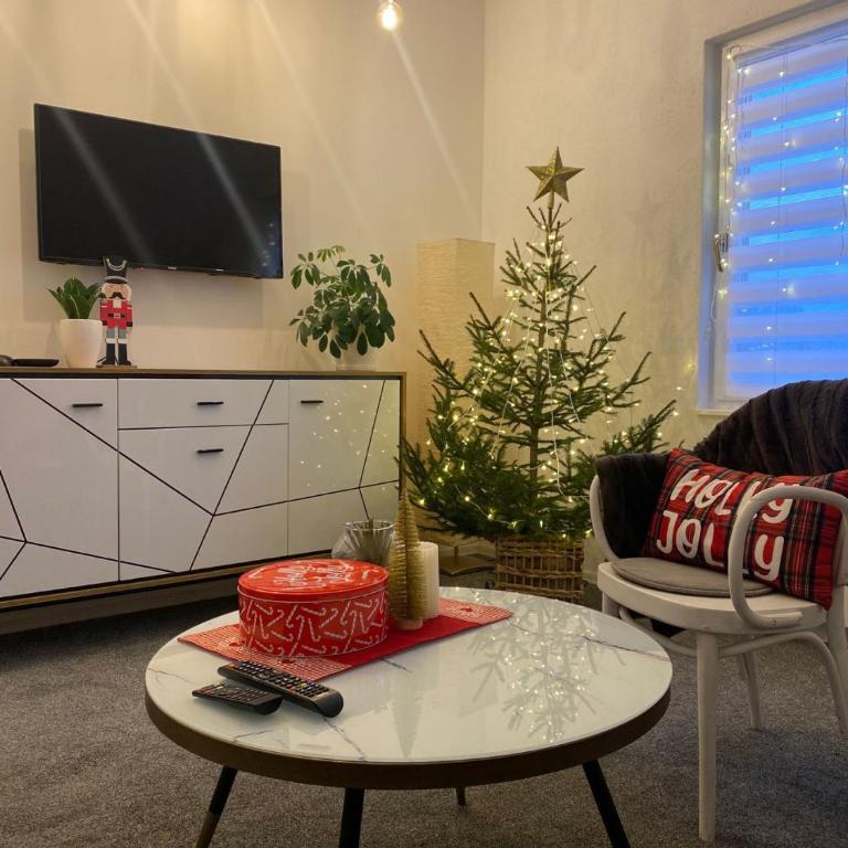 Apartmani Kiki - One-Bedroom Apartment - 17