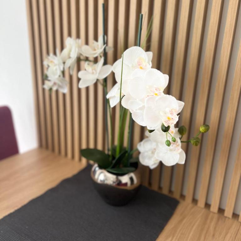 Kovacevic Apartments - Apartment - Ground Floor - 7