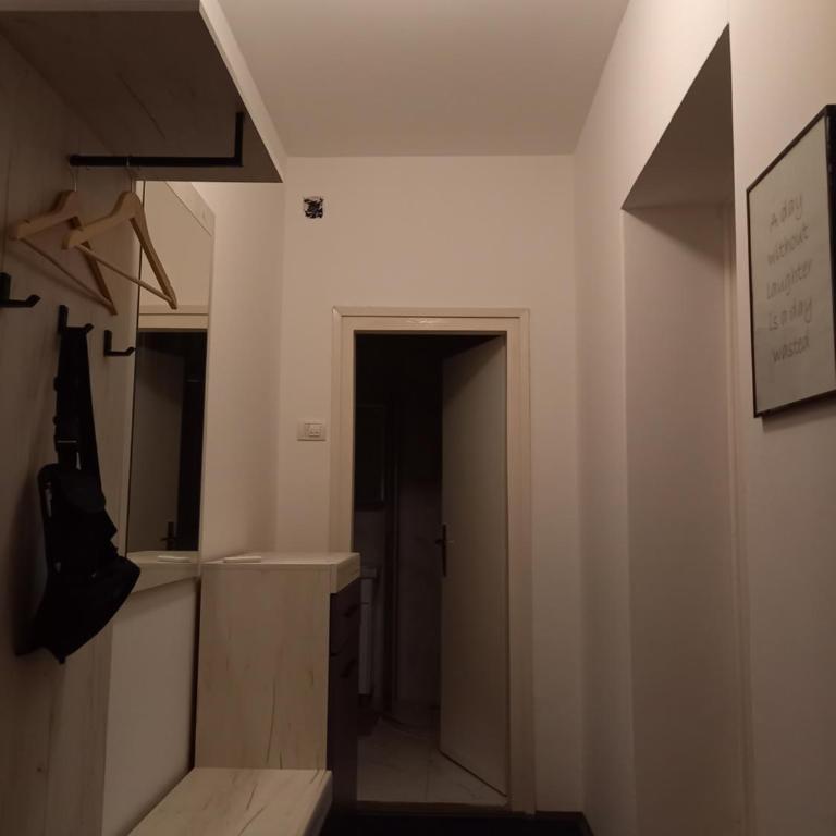 Nikola Hram - Apartman sa 1 Spavaćom Sobom - 19