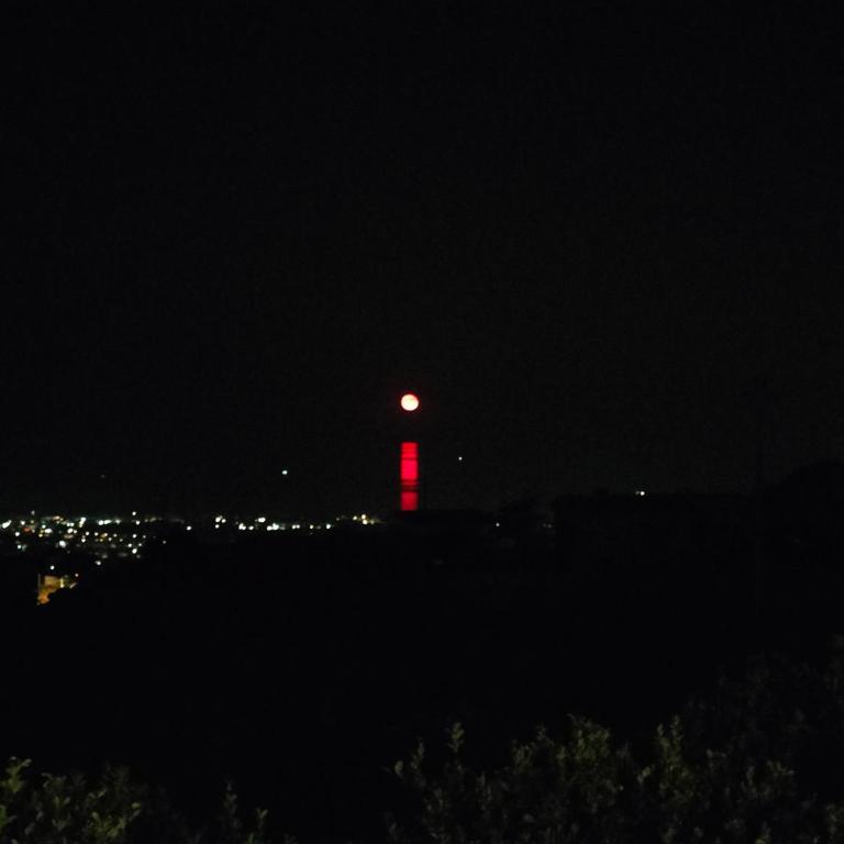 Il Limoneto di Leo - Casa Vacanze - 29