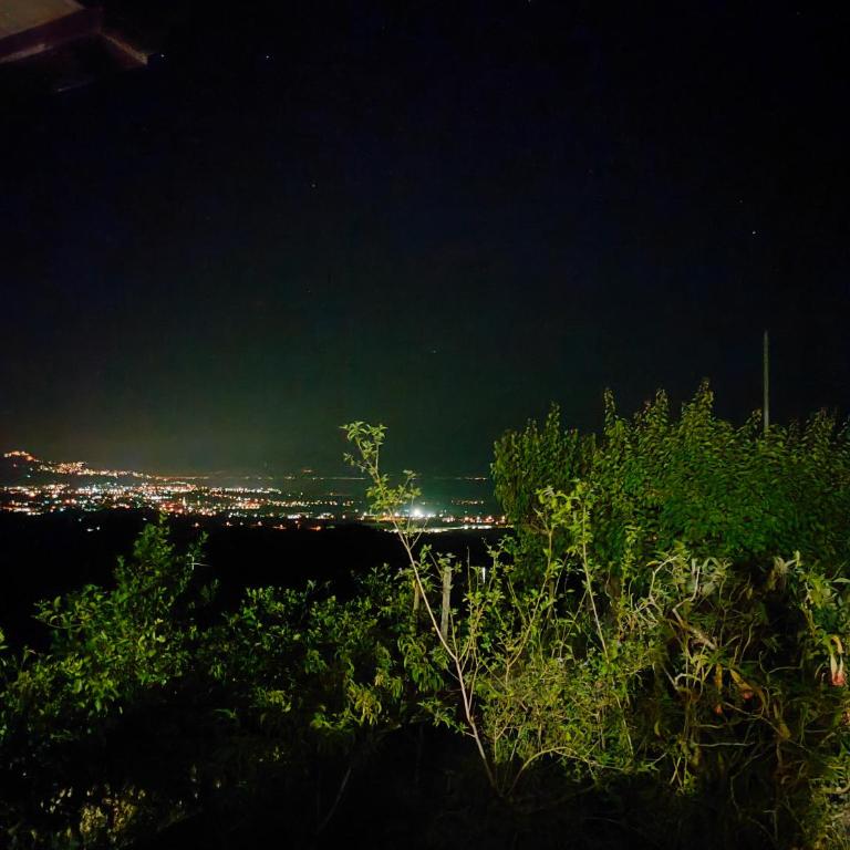 Il Limoneto di Leo - Casa Vacanze - 30