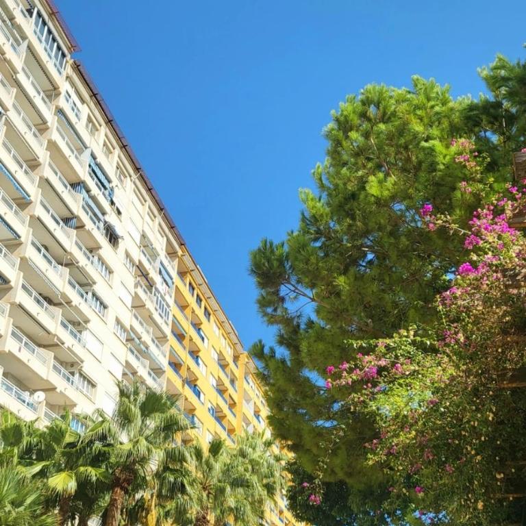 Apartamento Serenity by the Sea II, Altos de Campoamor, 2 bedrooms, balcony , terrace , tennis court and beautiful swimming pool - Apartamento de 2 dormitorios - 27