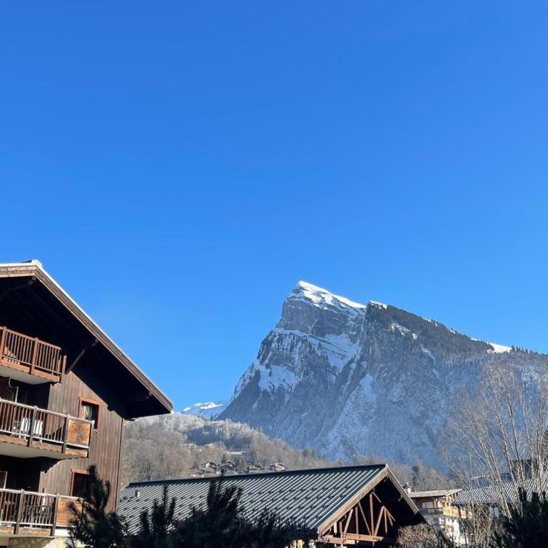 Appartement T2 avec grande terrasse et animaux acceptés - FR-1-624-105 - Apartment - 5
