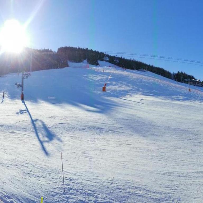 Appartement lumineux avec accès direct aux pistes et cabine à La Plagne - FR-1-181-2477 - Appartement - 18