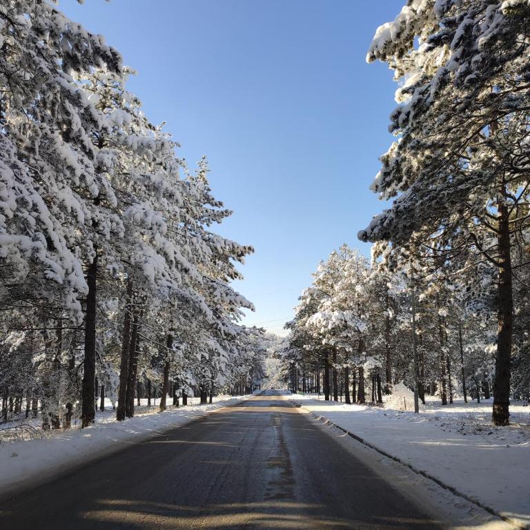 Apartman TEKA - Apartman sa 1 Spavaćom Sobom - 36