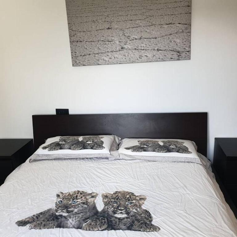 Il Pennino - Villa Penna - Casa con 1 Camera da Letto - 7