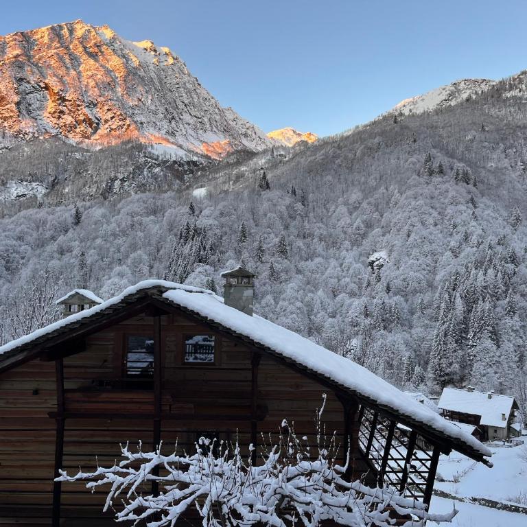 Alloggio in antica frazione Walser - Appartamento con 2 Camere da Letto - 2