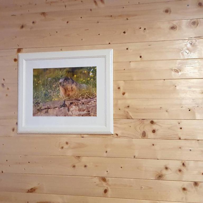 Appartamento Pampeago 10 - Appartamento con 2 Camere da Letto - 55