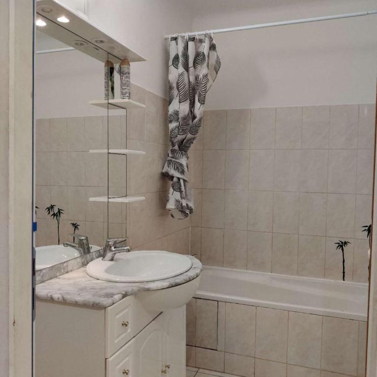 Antibes Center Cozy Big Studio - One-Bedroom Apartment - 11