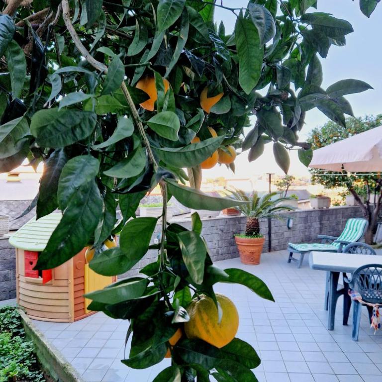Fuga a Napoli Apartment - Appartamento con Terrazza - 60