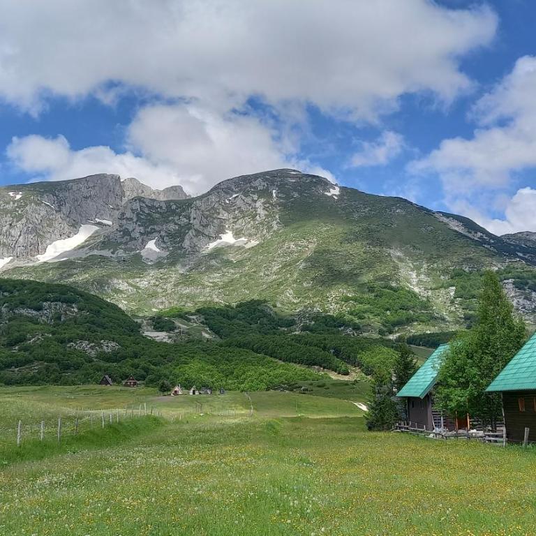 Family Farm Apartments - Three-Bedroom Chalet - 21