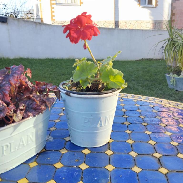 El Hogarin de Veronica - Casa de 2 dormitorios - 12