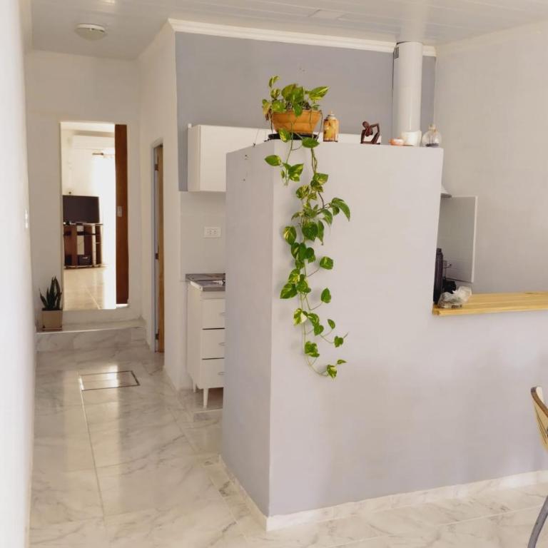 Rocco - One-Bedroom Apartment - 1