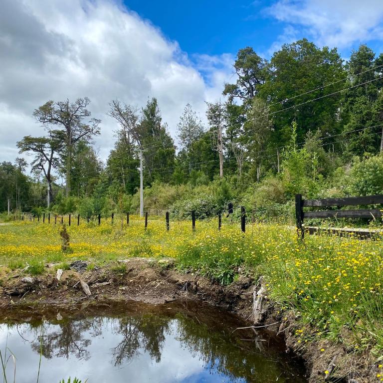 Refugio Los Coigues Casa en bosque con tinaja - Three-Bedroom House - 31