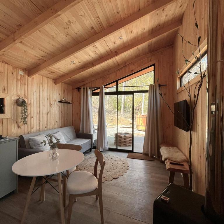 Cabaña en el bosque-Termas de Chillán - Casa de 2 dormitorios - 43
