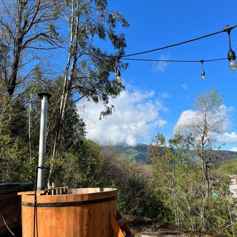 Cabaña en el bosque-Termas de Chillán - Casa de 2 dormitorios - 48