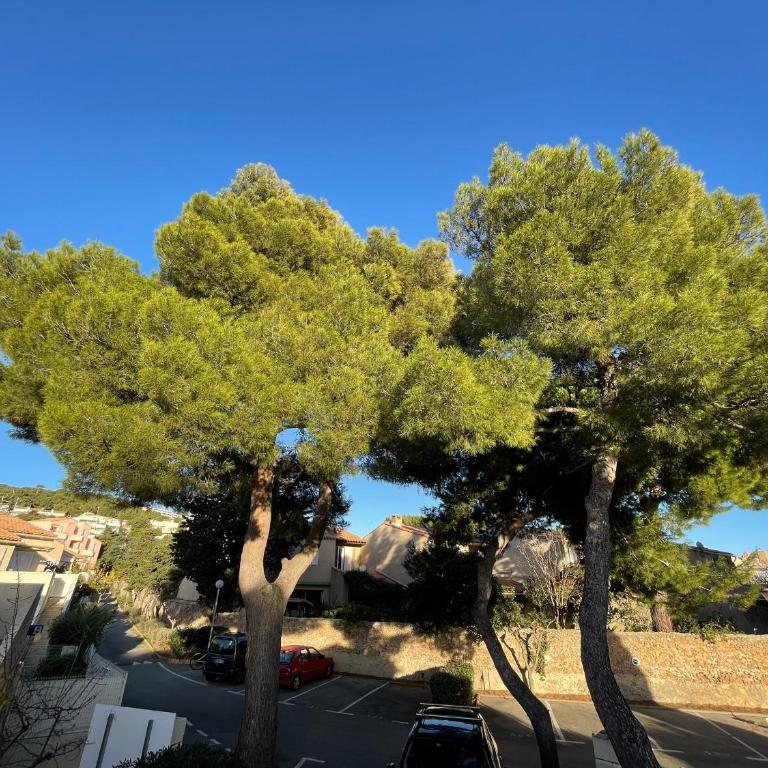 Appartement 2 pièces avec climatisation, terrasse et parking près des plages - FR-1-338-546 - Apartment - 3