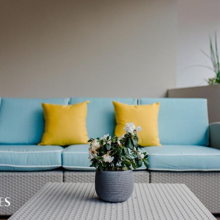 1BR | Near the Beach | Pool View - One-Bedroom Apartment - 13
