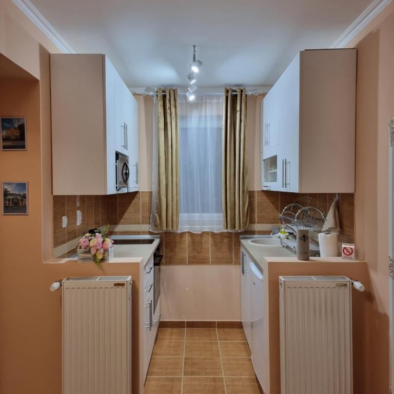 Apartman Aleksa - One-Bedroom Apartment - 23