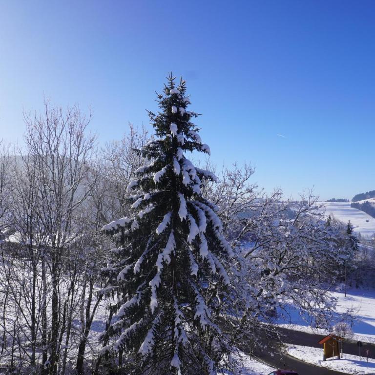 FeWo AllgäuZeit mit Hallenbad & Sauna & kostenlosem WLAN - Apartment mit 1 Schlafzimmer - 32