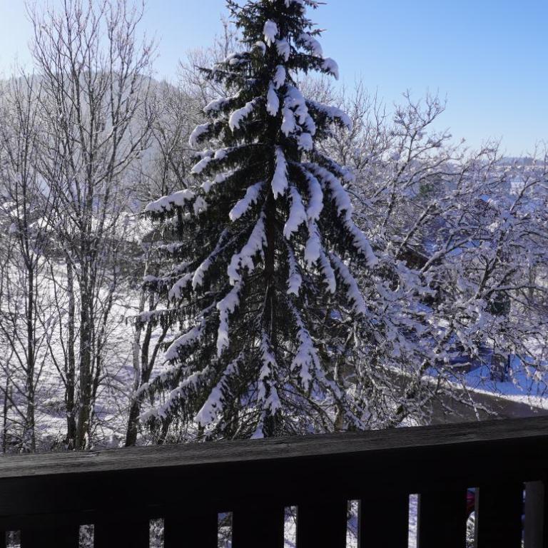 FeWo AllgäuZeit mit Hallenbad & Sauna & kostenlosem WLAN - Apartment mit 1 Schlafzimmer - 31