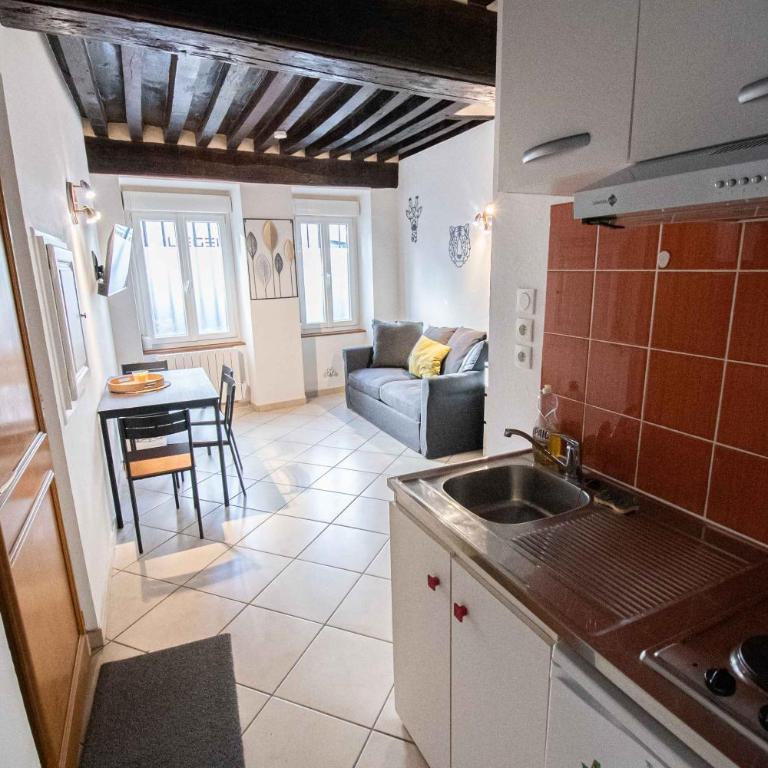 Résidence Le Zola composé de 3 appartements distincts en Hyper Centre de Dijon avec WIFI - Appartement 1 Chambre - 6