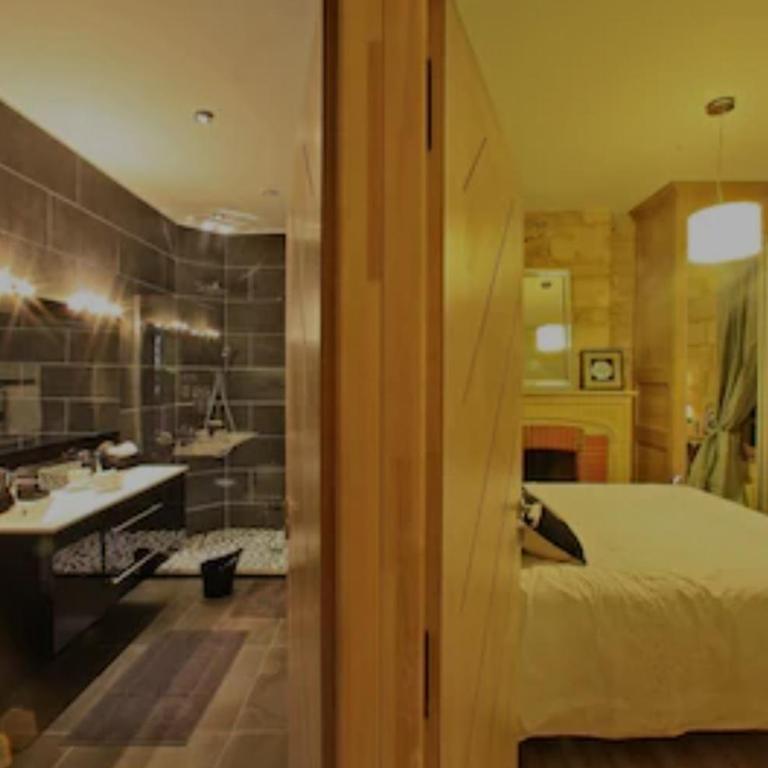 Appartement de prestige avec parking Sarlat centre - Appartement Supérieur - 4