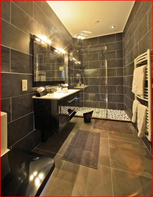Appartement de prestige avec parking Sarlat centre - Appartement Supérieur - 6