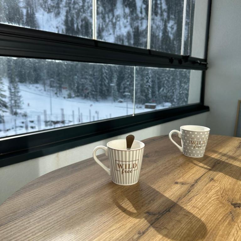 Staza Ski Apartment - One-Bedroom Apartment - 10