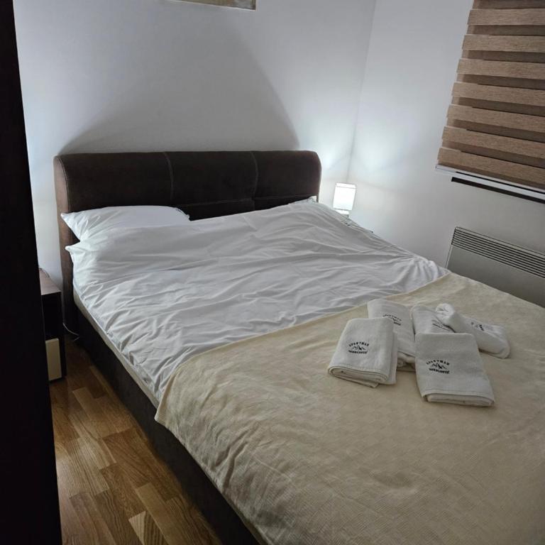 Apartman Djermanovic Zlatibor - Apartman sa 1 Spavaćom Sobom - 21
