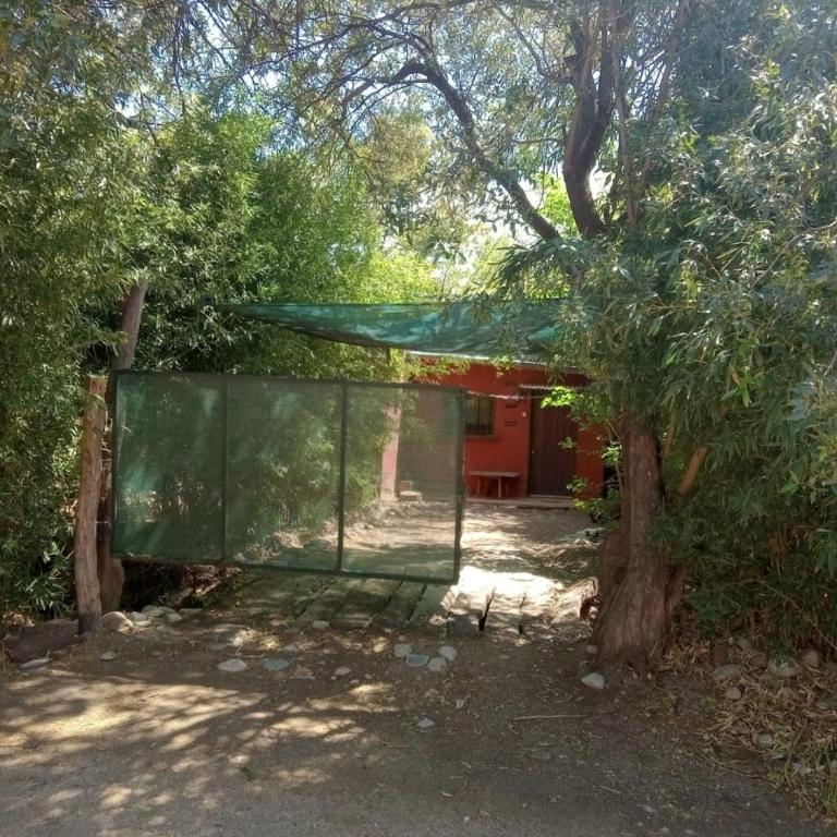 Sadhana - Apartamento de 1 dormitorio - 9