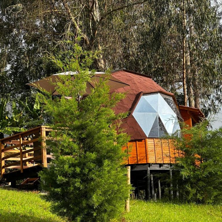 Glamping Shalom - Double Room with Spa Bath - 9