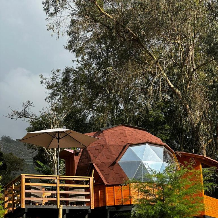 Glamping Shalom - Habitación Doble con bañera de hidromasaje - 19